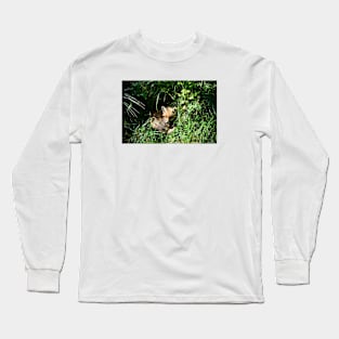 Fox / Swiss Artwork Photography Long Sleeve T-Shirt